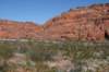 snowcanyon14_small.jpg