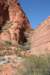 snowcanyon25_small.jpg