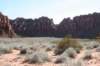 snowcanyon37_small.jpg