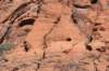 snowcanyon44_small.jpg