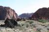 snowcanyon63_small.jpg