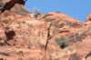 snowcanyon72_small.jpg