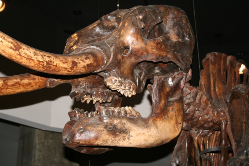 labreatarpits4.jpg