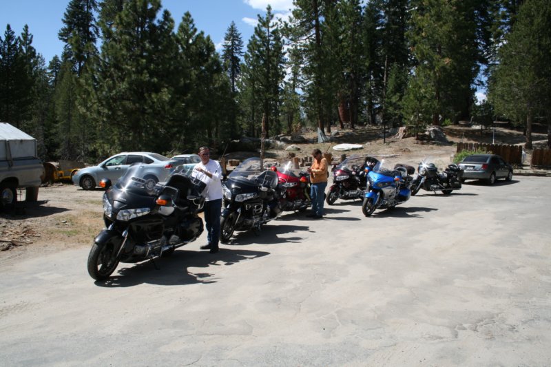 sequoiatrip.jpg