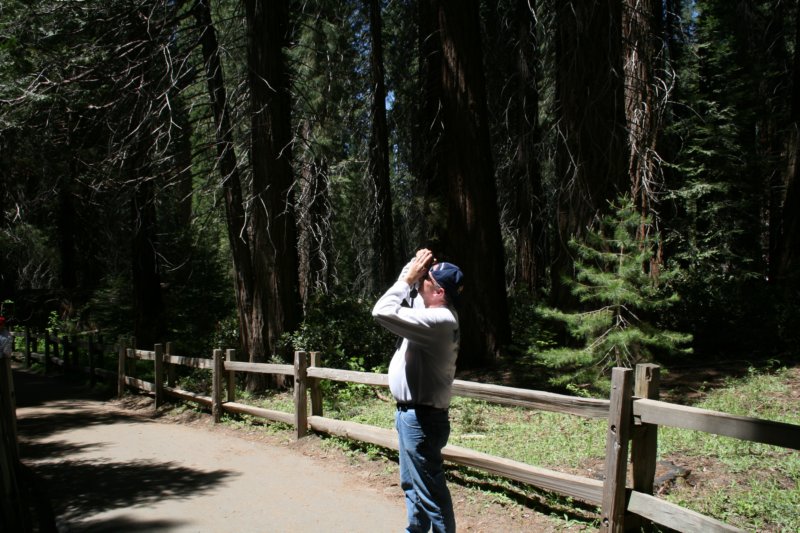 sequoiatrip14.jpg