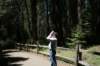 sequoiatrip14_small.jpg