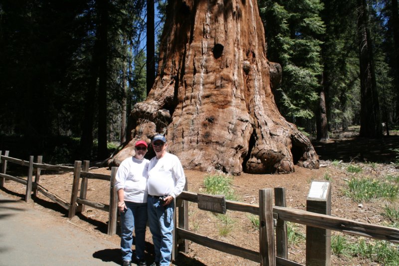 sequoiatrip5.jpg