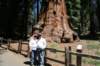 sequoiatrip5_small.jpg