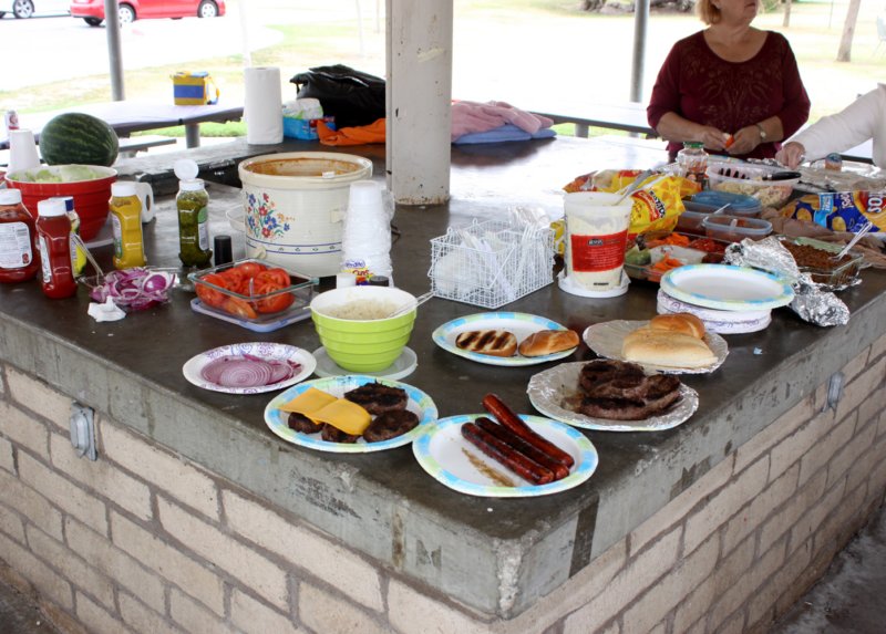 chapterpicnic20157.jpg